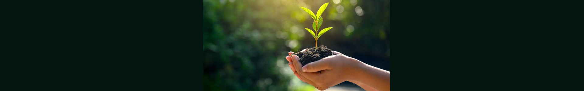 Notre engagement passe par la préservation de l'environnement